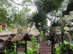 -海南热带野生动植物园
