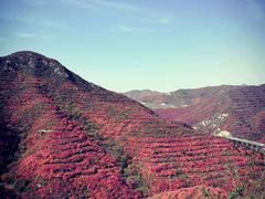 -山西壶关太行山大峡谷旅游景区