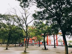 -上海滨江森林公园