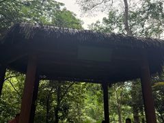 -五泄景区