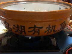 -全乐鱼馆·淳牌有机鱼直营店