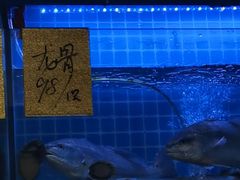 -聪辉同安老美食饭店(大元路店)