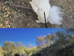 -北京张裕爱斐堡酒庄