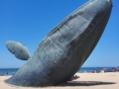 -烟台金沙滩海滨公园