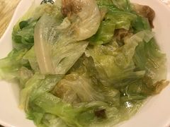 白灼西生菜-添好运点心专门店(百老汇店)