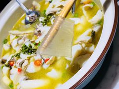 -青花椒花椒鱼(合生汇店)