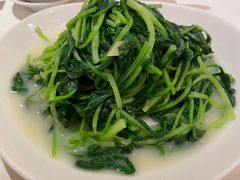 -利苑酒家(合景国际金融广场店)