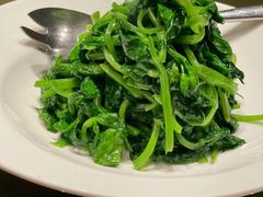 鸡油豌豆苗-粤界(望京金辉店)
