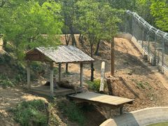 -石家庄市动物园