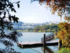 -白云湖畔酒店-湖畔餐厅