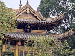 -上海东林寺(金山区)