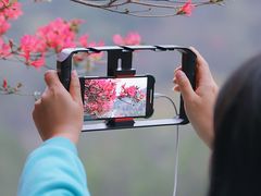 -木兰云雾山