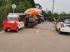 -桤木河湿地公园