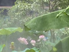 -钱王祠