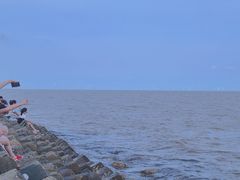 -南汇嘴观海公园