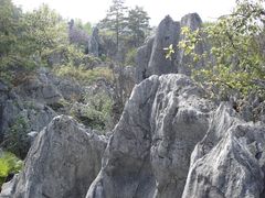 -千岛湖石林