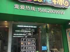 -秀猫阁·猫咪花园(万达店)