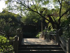 -柳侯公园