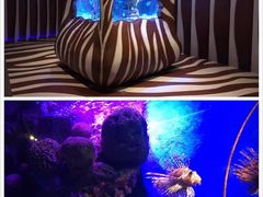 -暹罗海洋世界