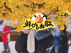 -宁波冰雪大世界(北仑区)