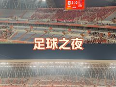 -济南奥林匹克体育中心体育场