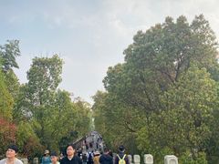 -同里国家湿地公园