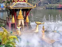 -西双版纳原始森林公园