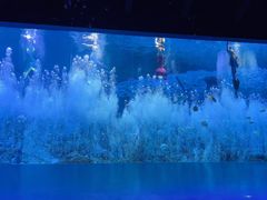 -哈尔滨波塞冬海底世界
