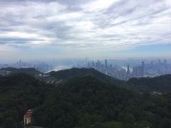 -大金鹰园