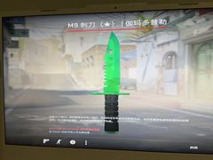 -张翻越·川渝冒菜·武汉黑鸭煲(城北万象城店)