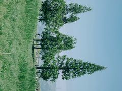-良渚古城遗址公园