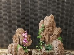 -天津水游城丽筠酒店