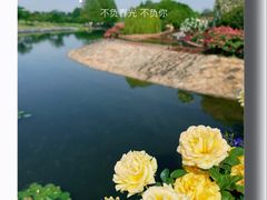 -上海辰山植物园
