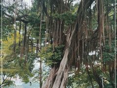 -荔湾湖公园
