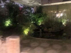 -罗亚帝·NASHOW纳秀形象设计