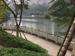 -重庆彩云湖湿地公园