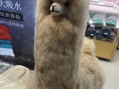 -国药中服免税(北京坊店)