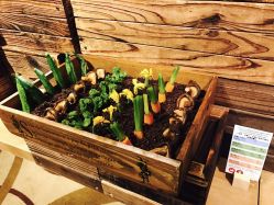蔬菜主题茶歇-嘉兴希尔顿逸林酒店·宴会厅