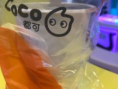 -CoCo都可(方庄店)