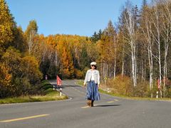 -五营红松林海景区