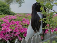 -昆山城市生态森林公园