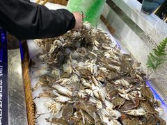 螃蟹-圣罗巴甄选自助(麦凯乐店)