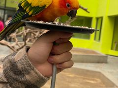 -北京野生动物园