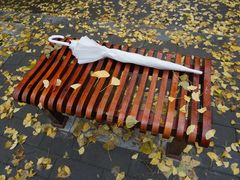 -三里屯东五街银杏大道