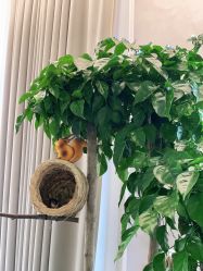 -新蝶变皮肤管理中心