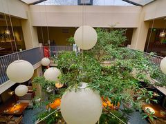 -馋嘴猫北京食堂·烤鸭·宵夜(亚运村店)