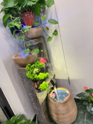-阅年轻·AI家庭健康体质调理