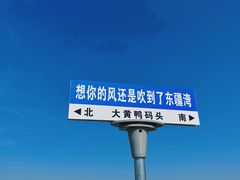 -天津东疆湾沙滩景区