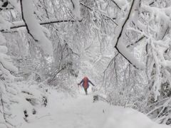 -九峰山