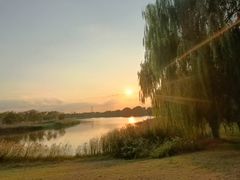 -上海滨江森林公园